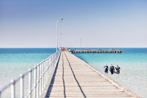 Rye Bay Trial - Accommodation Georgetown 1