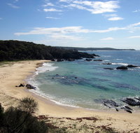 Snorkelling Mystery Bay - Accommodation Georgetown