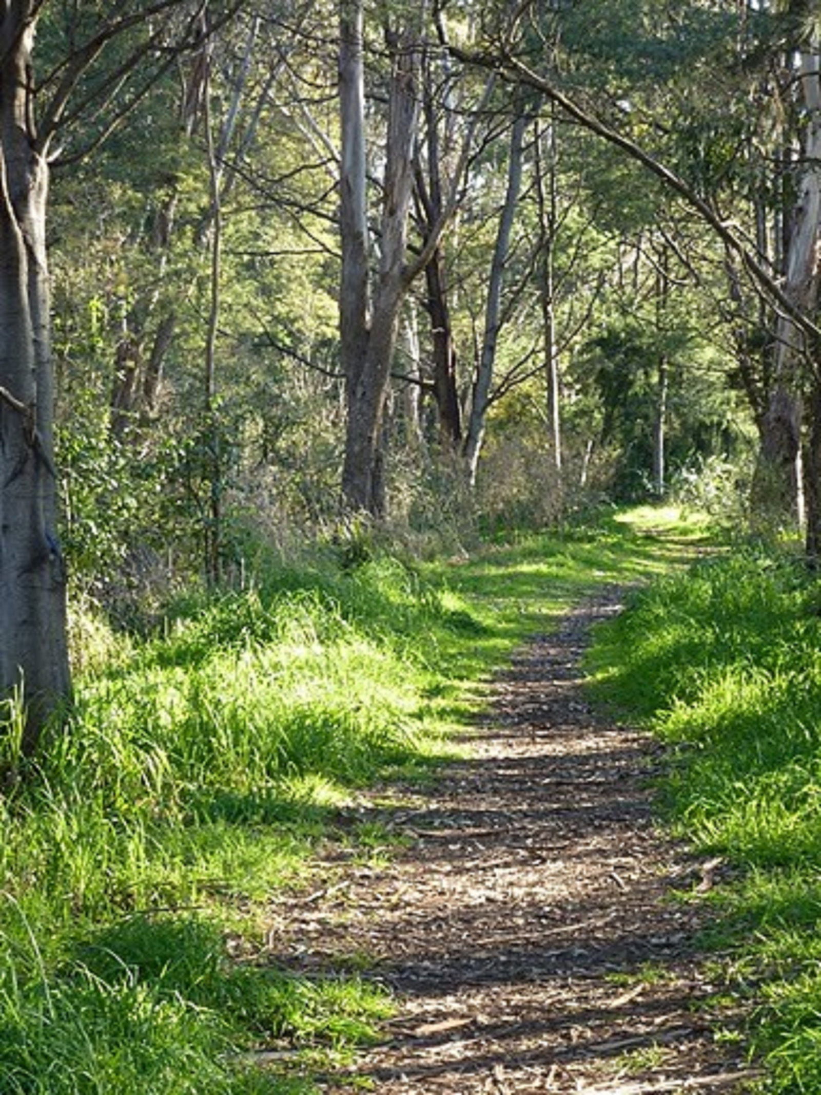 The North West TAS Accommodation Georgetown