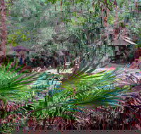 Sugar Creek Picnic Area - Accommodation Georgetown