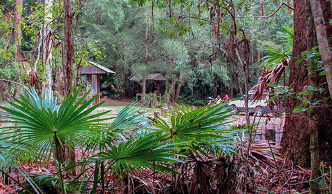 Sugar Creek Picnic Area - Accommodation Georgetown 0