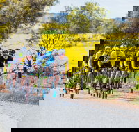 The Heron's Highway - Avon River Cycle Trail - Accommodation Georgetown