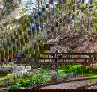 Armadale - Accommodation Georgetown