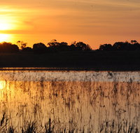 Bool Lagoon Game Reserve and Hacks Lagoon Conservation Park