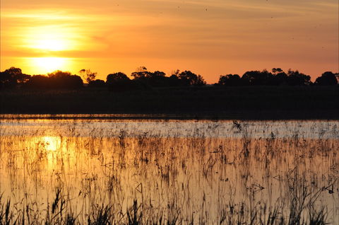 Bool Lagoon Game Reserve And Hacks Lagoon Conservation Park - Accommodation Georgetown 0