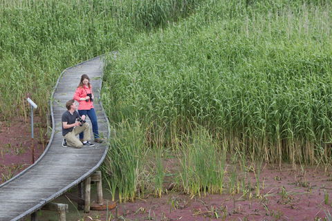 Bool Lagoon Game Reserve And Hacks Lagoon Conservation Park - Accommodation Georgetown 2