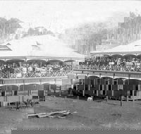 Don Dorrigo and Guy Fawkes Historical Society Museum - Accommodation Georgetown