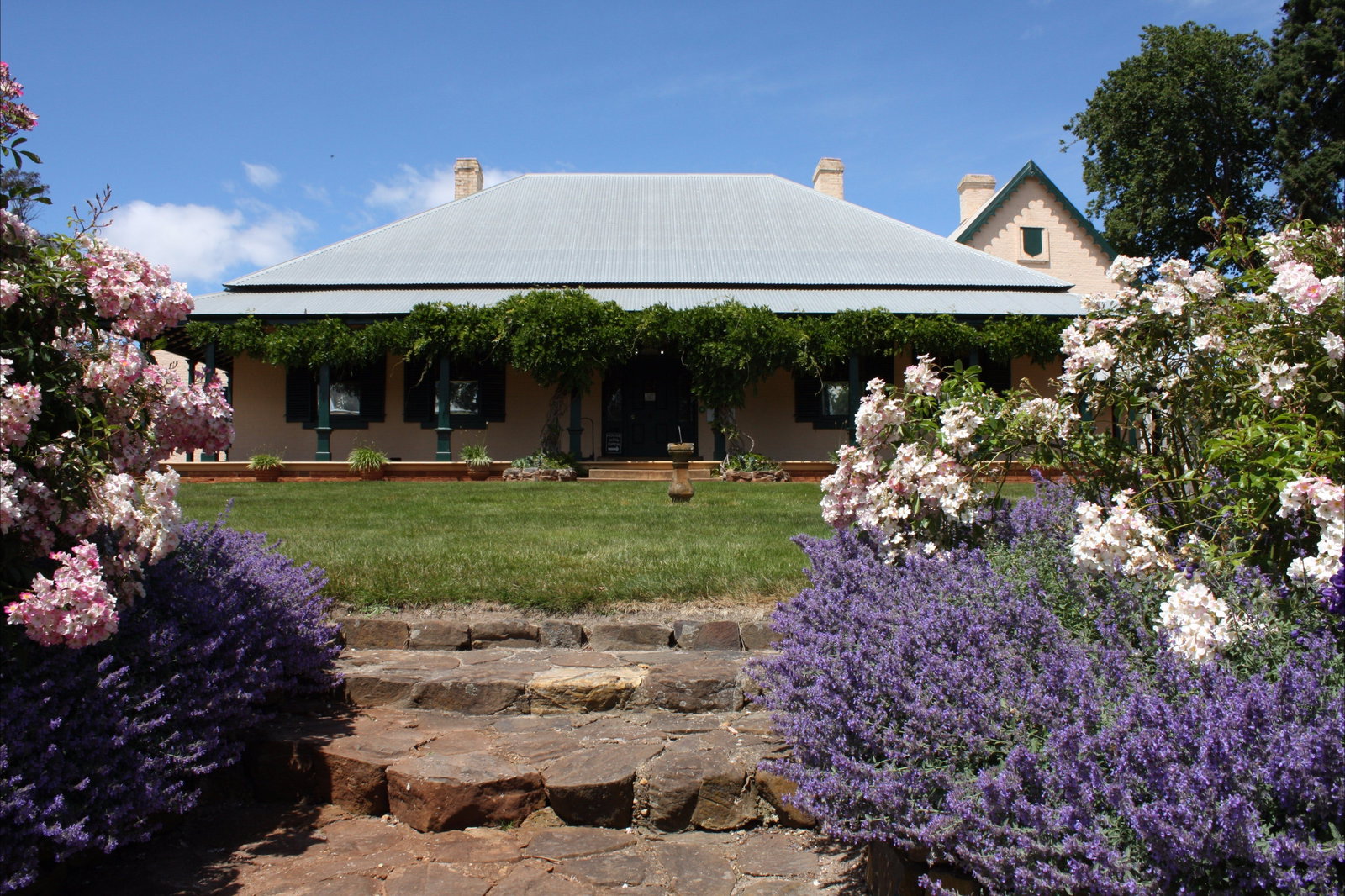 Accommodation Georgetown