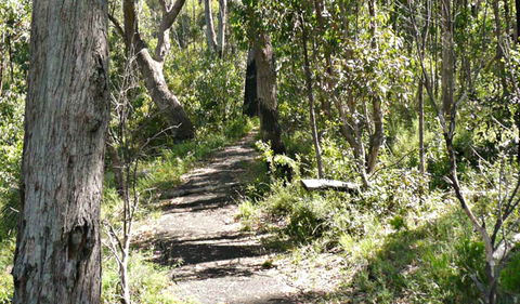 Euglah Rock Walking Track - Accommodation Georgetown 0