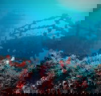 ex HMAS Adelaide - Accommodation Georgetown