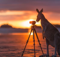 Explore the Mackay Region in Three Days - Accommodation Georgetown
