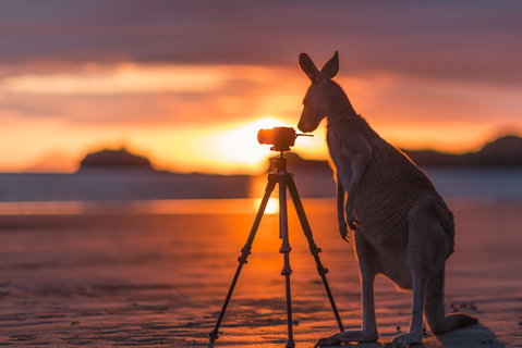 Explore The Mackay Region In Three Days - Accommodation Georgetown 0