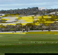 Fini Olives - Accommodation Georgetown