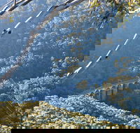 Forest Walk to Sublime Point Track - Accommodation Georgetown