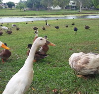 Gooseponds North Mackay - Accommodation Georgetown
