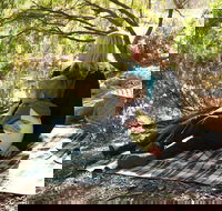 Haig Street Quarry Bushland Reserve Trails - Accommodation Georgetown