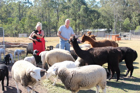 Haigslea EWE Nique Hobby Farm - Accommodation Georgetown 0