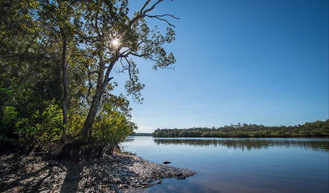 Karuah River National Park And Nature Reserve - Accommodation Georgetown 0