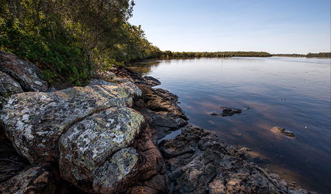 Karuah River National Park And Nature Reserve - Accommodation Georgetown 2