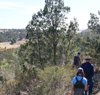 Kinchina Conservation Park - Accommodation Georgetown