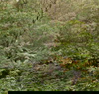 Lind National Park - Accommodation Georgetown