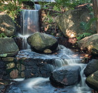 Mackay Regional Botanic Gardens - Accommodation Georgetown