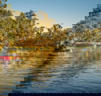 Macquarie Marshes Nature Reserve - Accommodation Georgetown