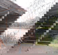 Martin Bend Wetland and Walking Trail - Accommodation Georgetown