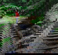 Montezuma Falls - Accommodation Georgetown