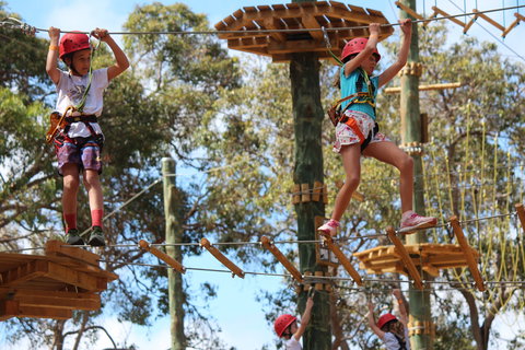 Next Level Monkey Business - Accommodation Georgetown 0