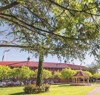 Norwood Oval - Accommodation Georgetown