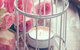 Passionfish Candles - thumb 1