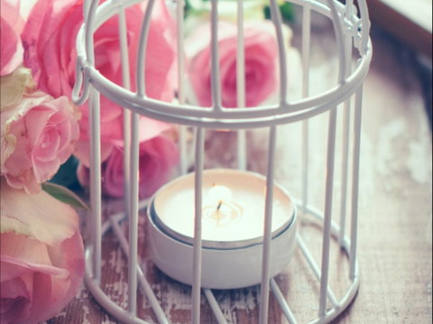 Passionfish Candles - Accommodation Georgetown 1