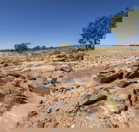 Peery Lake picnic area