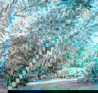 Phillips Gallery - Accommodation Georgetown