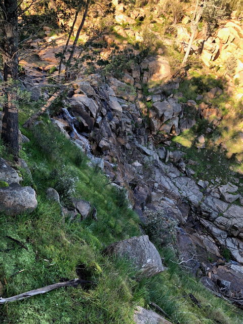 Pine Gully Nature Trail - Accommodation Georgetown 0