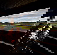 Reed Beds Bird Hide Boardwalk - Accommodation Georgetown