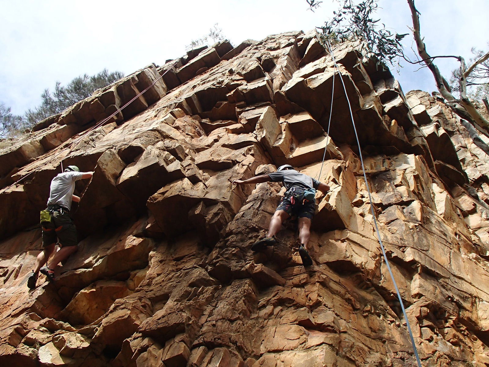 Woodforde SA Accommodation Georgetown