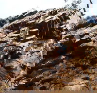 Rock Climbing in Morialta - Accommodation Georgetown