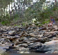 Rocksberg Park Heritage Reserve - Accommodation Georgetown