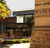 South Australian Museum - Accommodation Georgetown