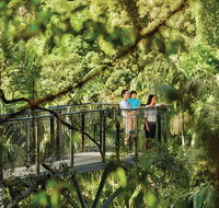 Tamborine Mountain - Accommodation Georgetown