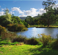 Tasmanian Arboretum Inc. - The - Accommodation Georgetown