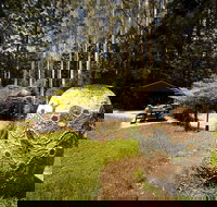 The Pines Picnic Area - Accommodation Georgetown