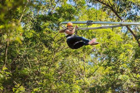 TreeTop Crazy Rider - Accommodation Georgetown 0