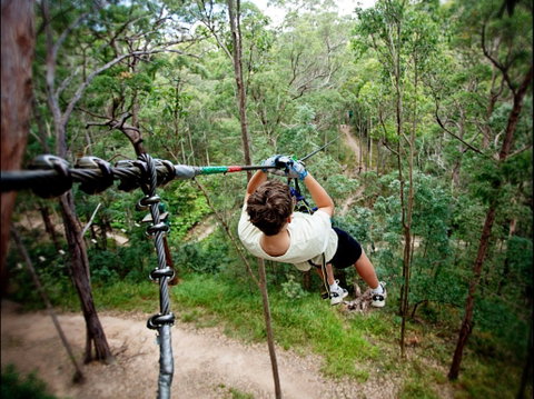 TreeTop Challenge - Accommodation Georgetown 0