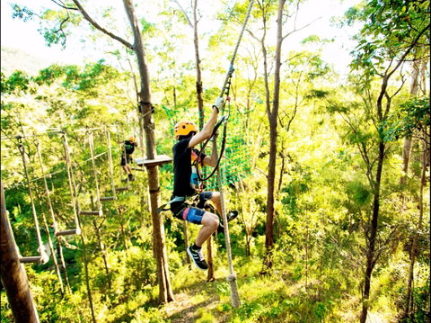 TreeTop Challenge - Accommodation Georgetown 1