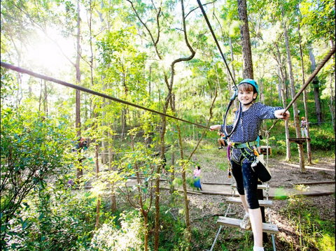 TreeTop Challenge - Accommodation Georgetown 2
