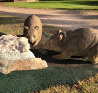 Wombat Statues Moonta - Accommodation Georgetown