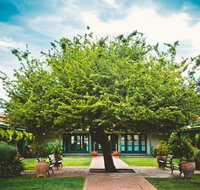 Ainslie  Gorman Arts Centres - Accommodation Georgetown